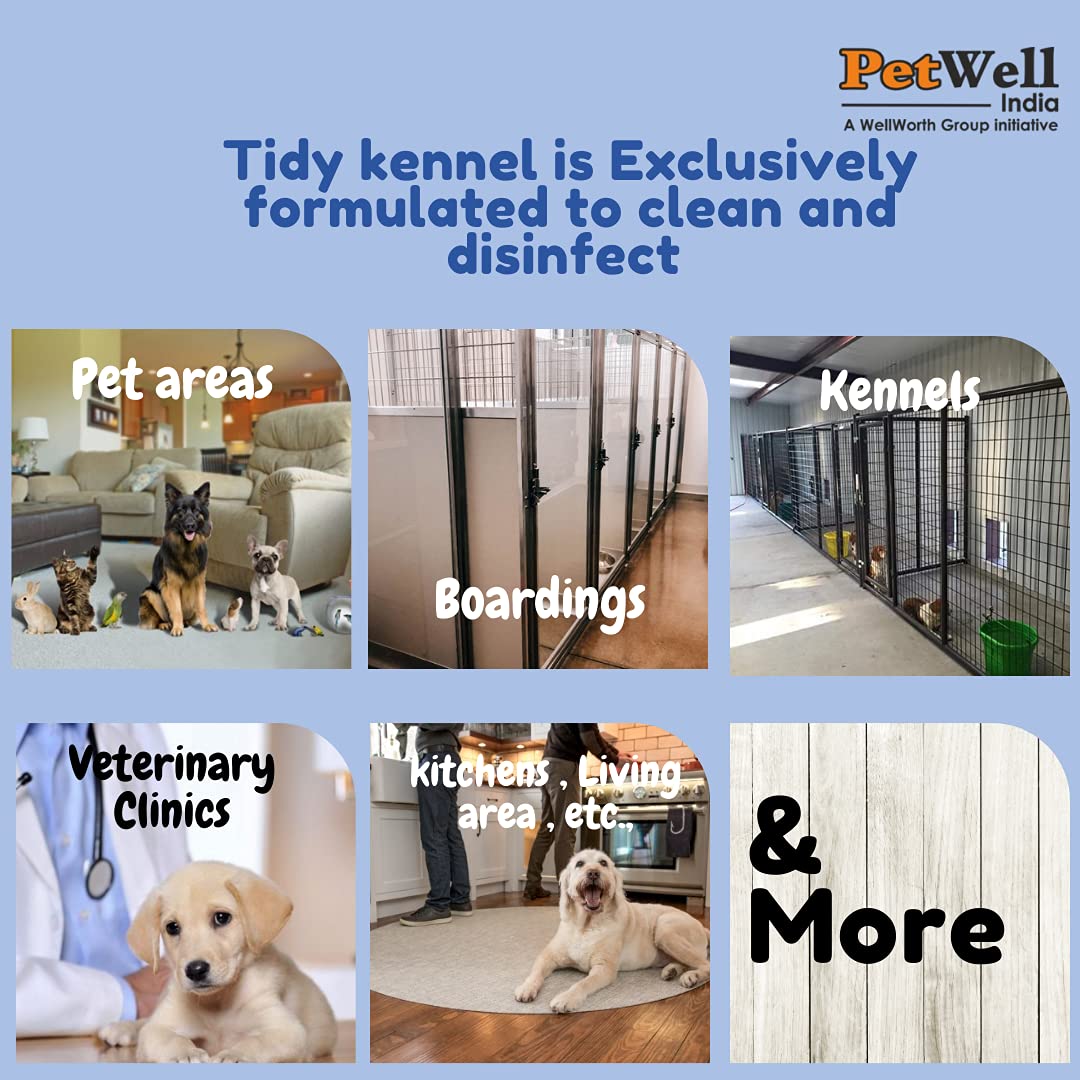 Tidy- Kennel Wash