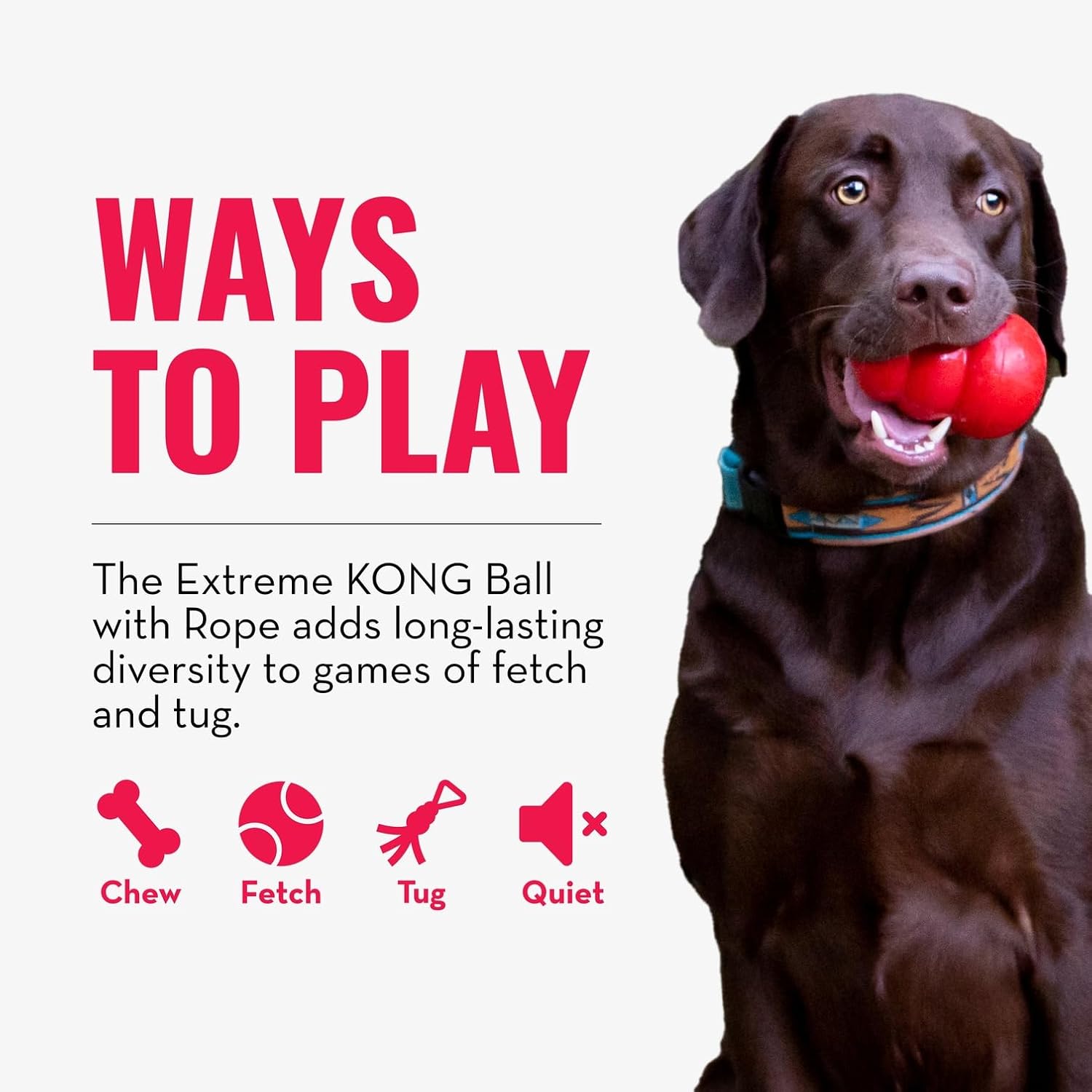 Kong Extreme Ball with Rope Toy for Dogs