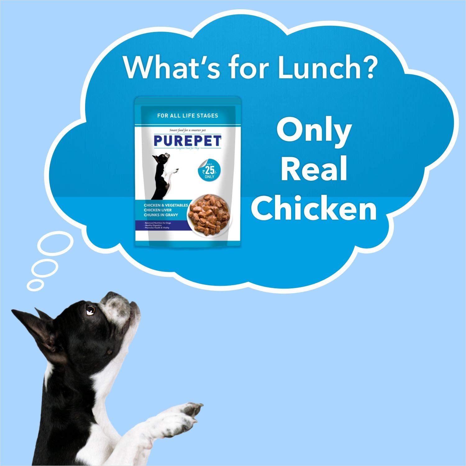 Purepet- Chicken & Vegetable Chunks in Gravy for Adult Dog