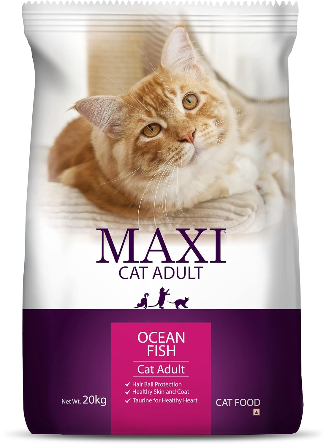 Drools-Maxi Ocean Fish Dry Cat Food