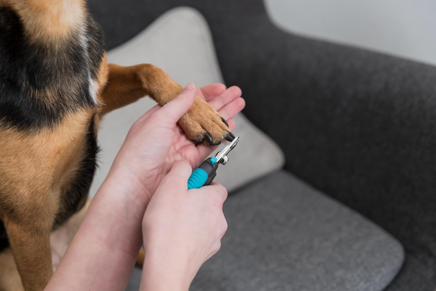 Trixie- Nail Clipper for Dog& Cat