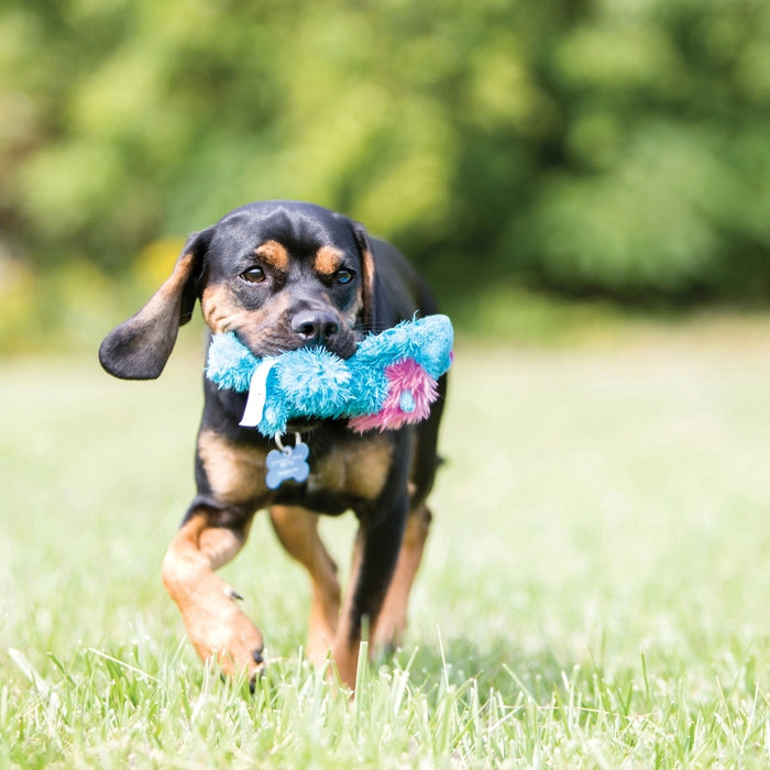 Kong – Cozie Dog Plush Toys