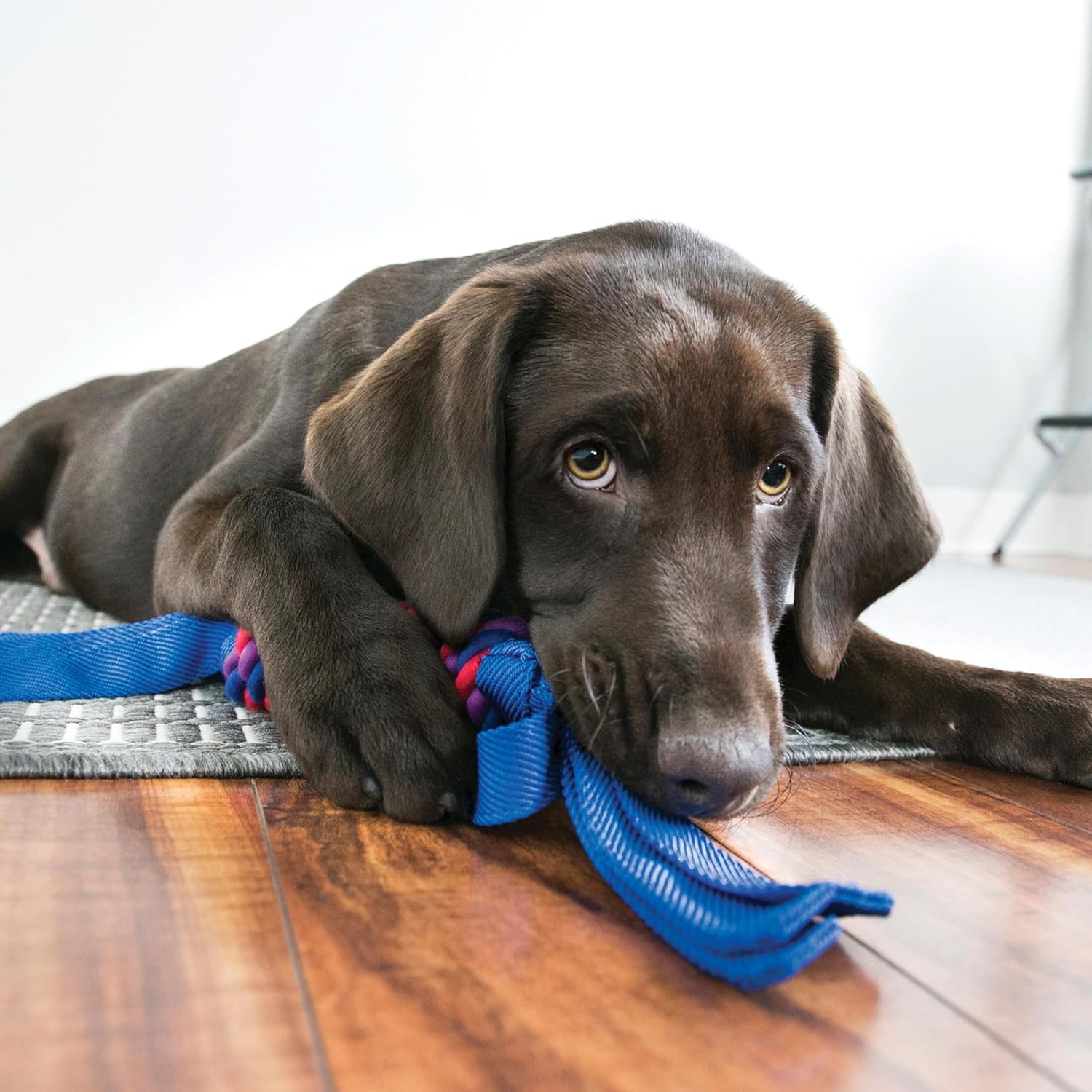 Kong Wubba Tugga Assorted Rope Toy for Dogs