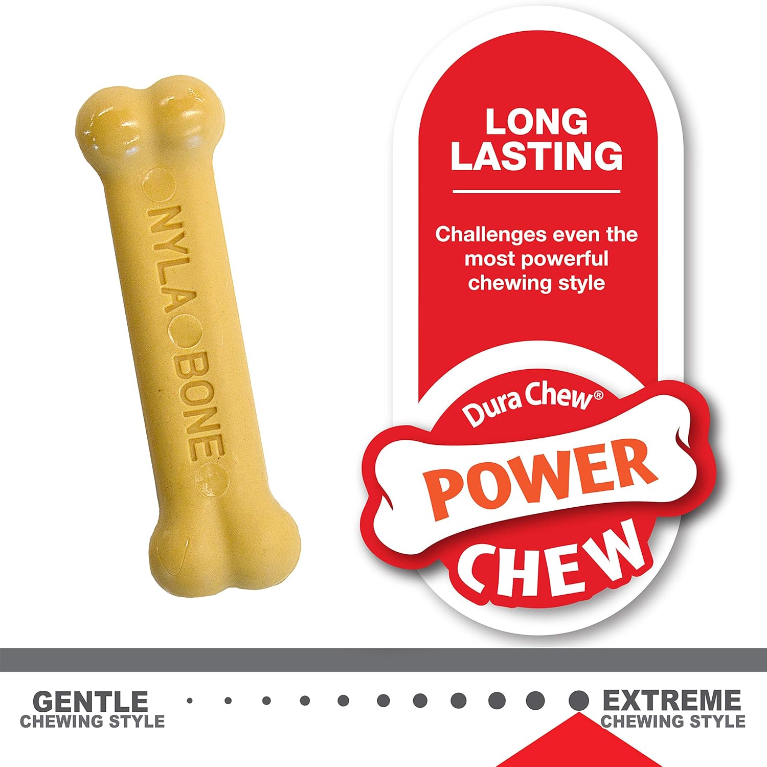 Nylabone Puppy Chew & Power Chew Bone Twin Pack XS