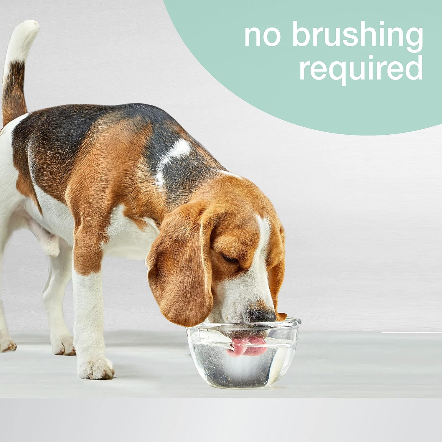 Nylabone Advanced Oral Care Liquid Breath Freshener