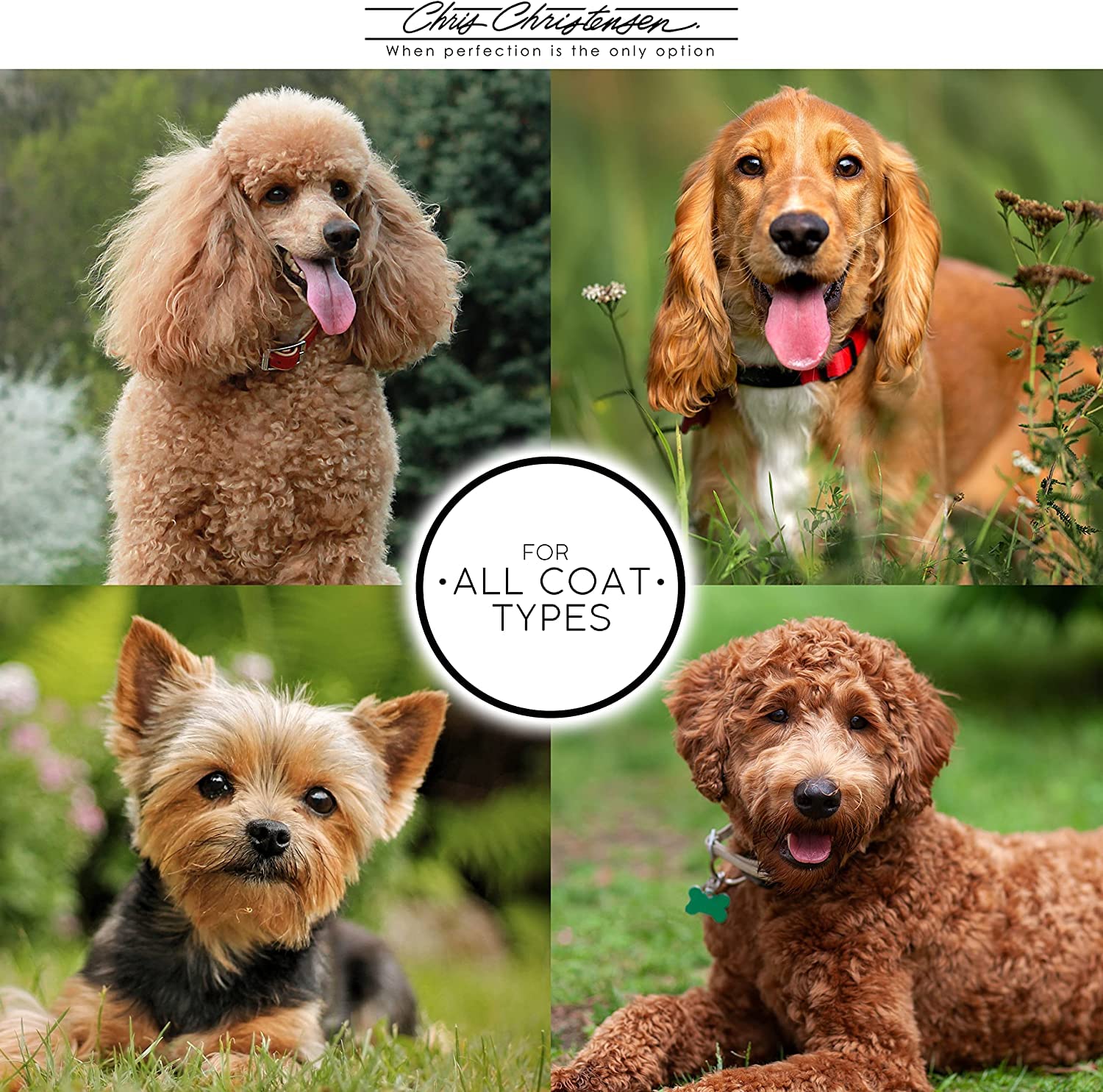 Chris Christensen Day to Day Moisturizing Conditioner