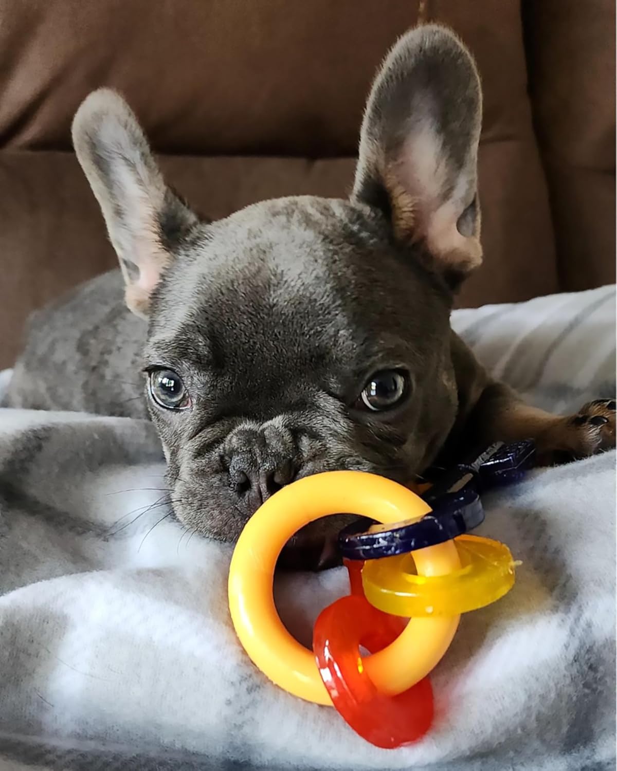Nylabone Key Ring Bone Puppy Teething Chew Toy