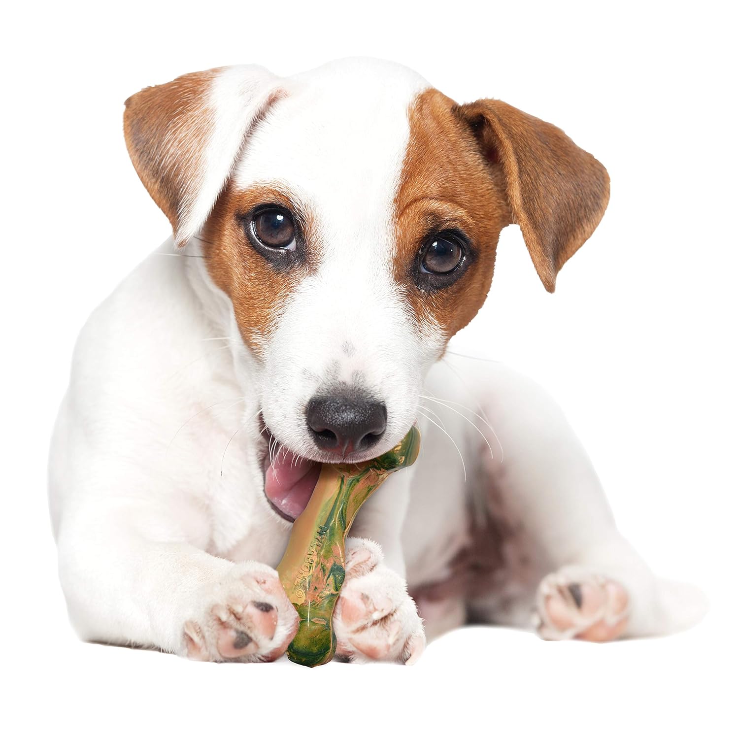 Nylabone Strong Chew Duck Camo Bone