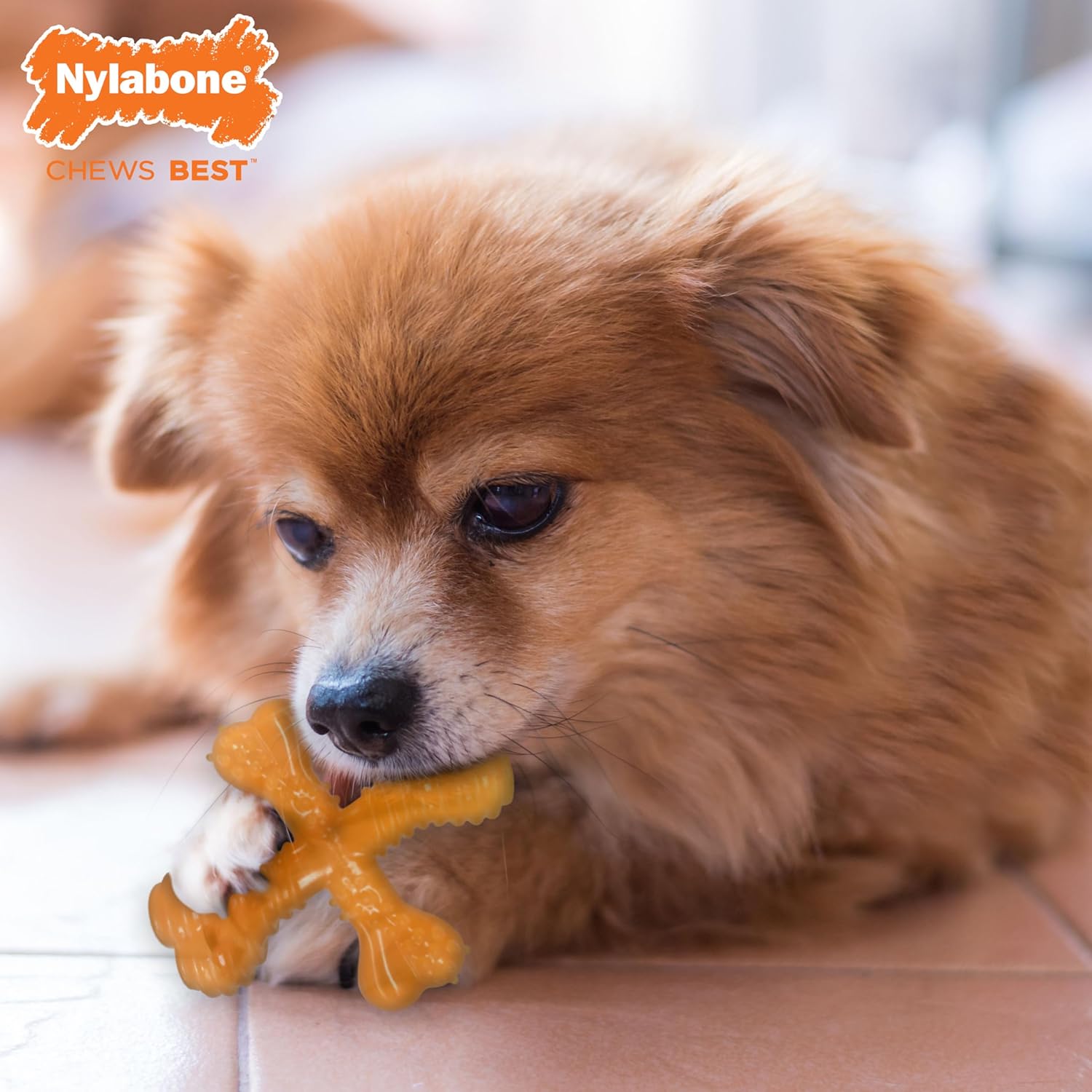 Nylabone Silver Collection Flexi Chew X Bone