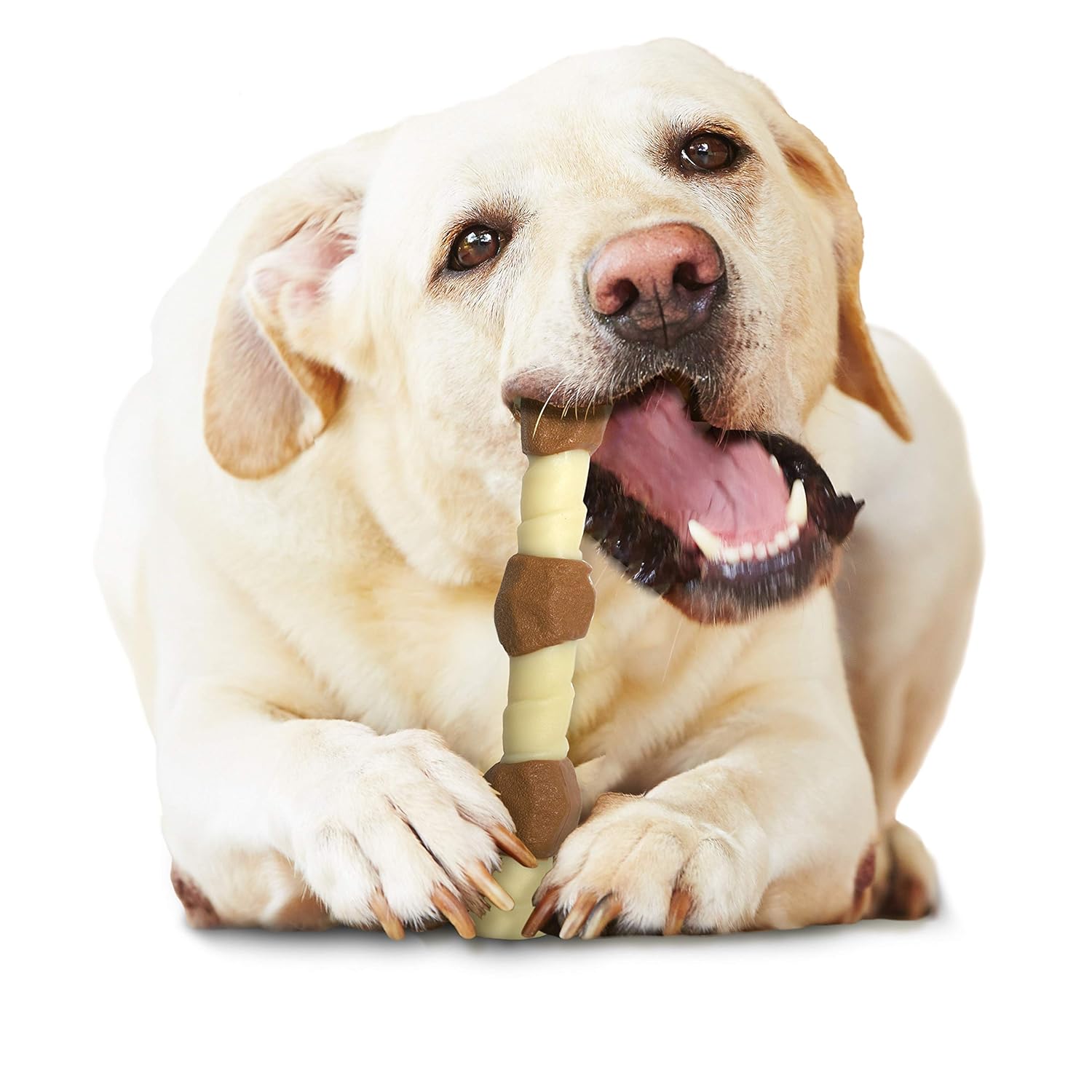 Nylabone Power Chew Shish Kabob Rawhide Alternative Nylon Chew Toy