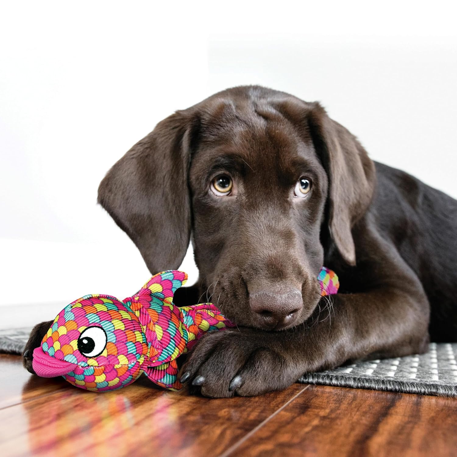 Kong Wubba Finz Interactive Dog Toy