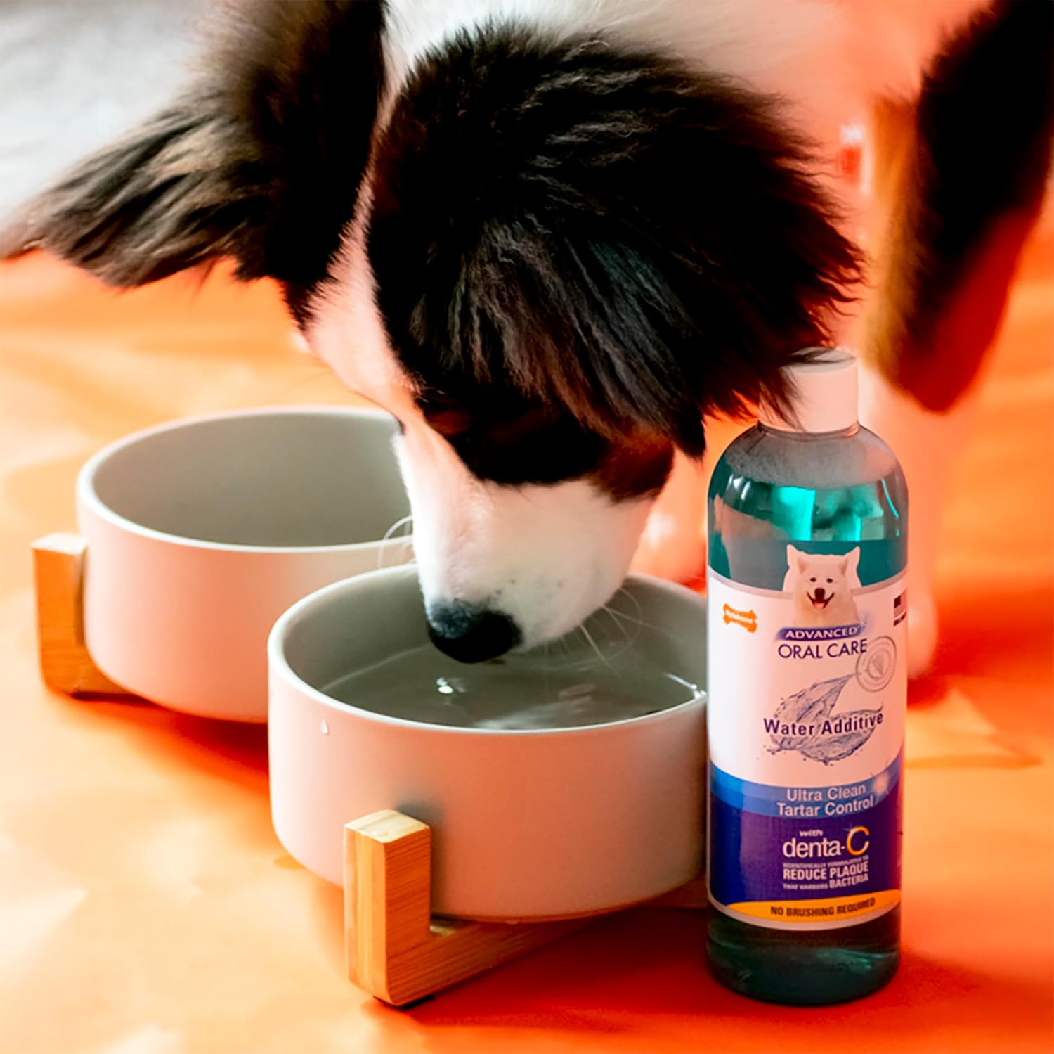 Nylabone Advanced Oral Care Liquid Breath Freshener