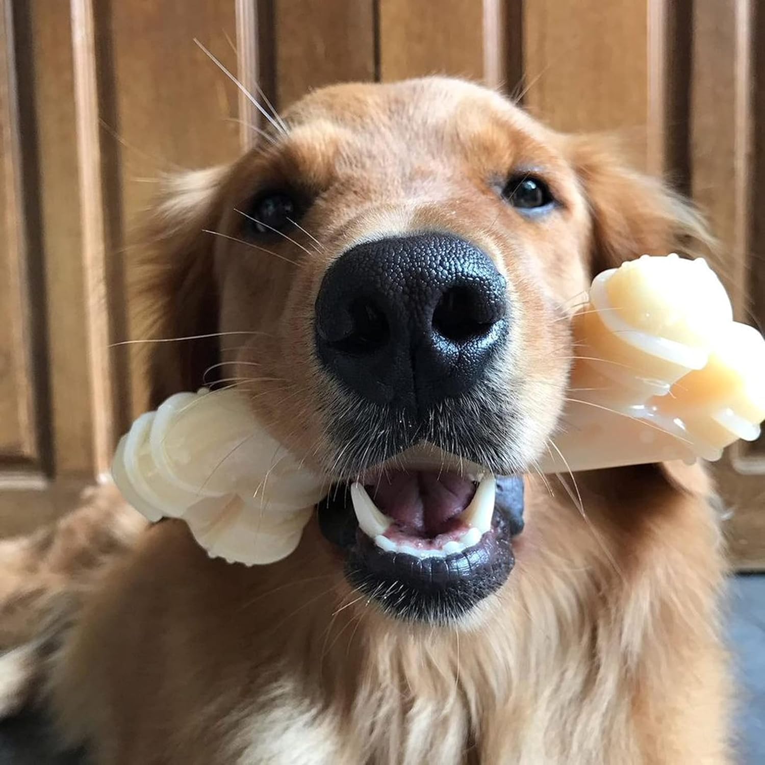 Nylabone Power Chew Curvy Dental Chew Toy