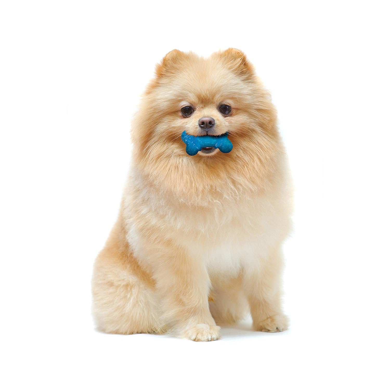 Nylabone  Moderate Chew Twin Pack Peanut Butter
