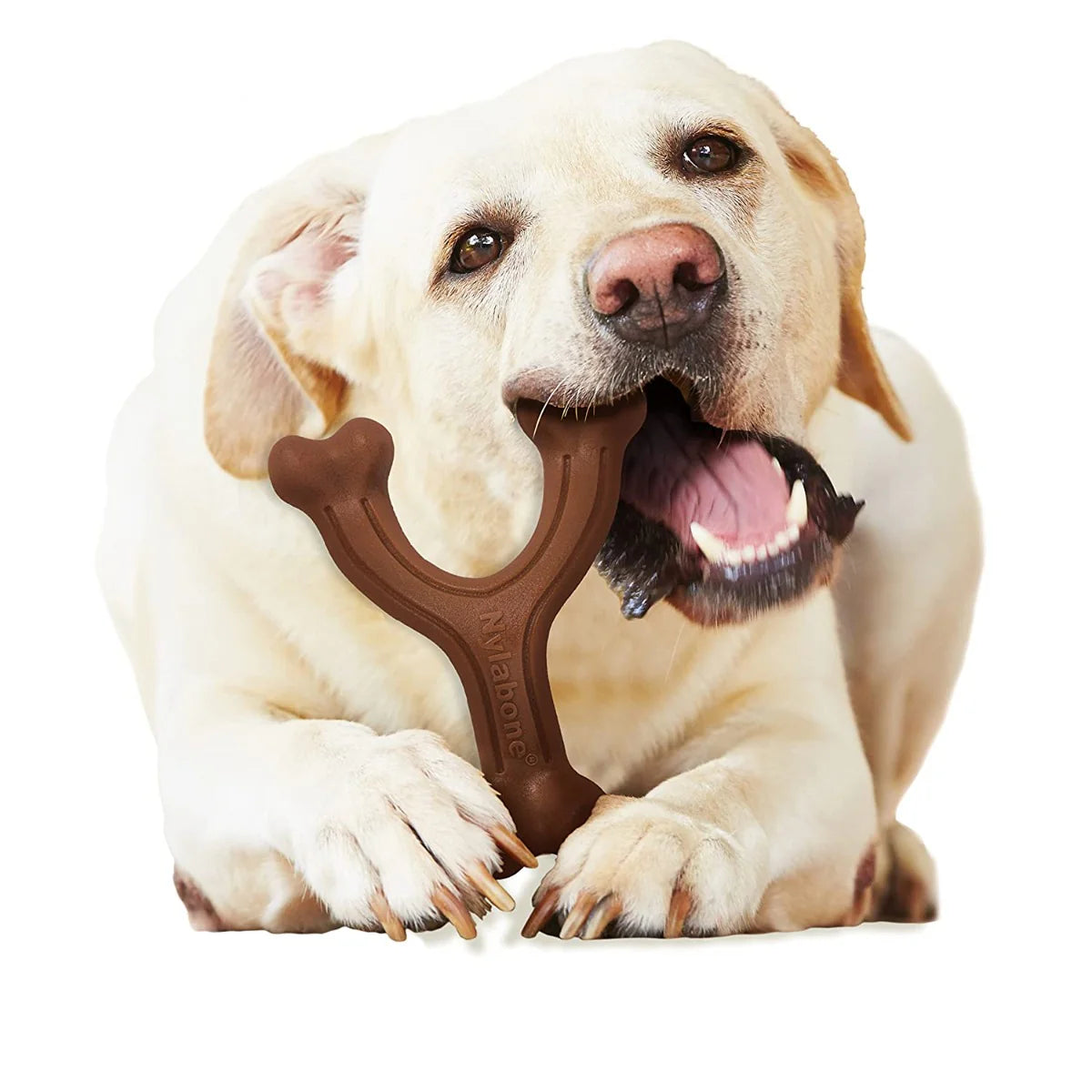 Nylabone Power Chew Wishbone Chicken