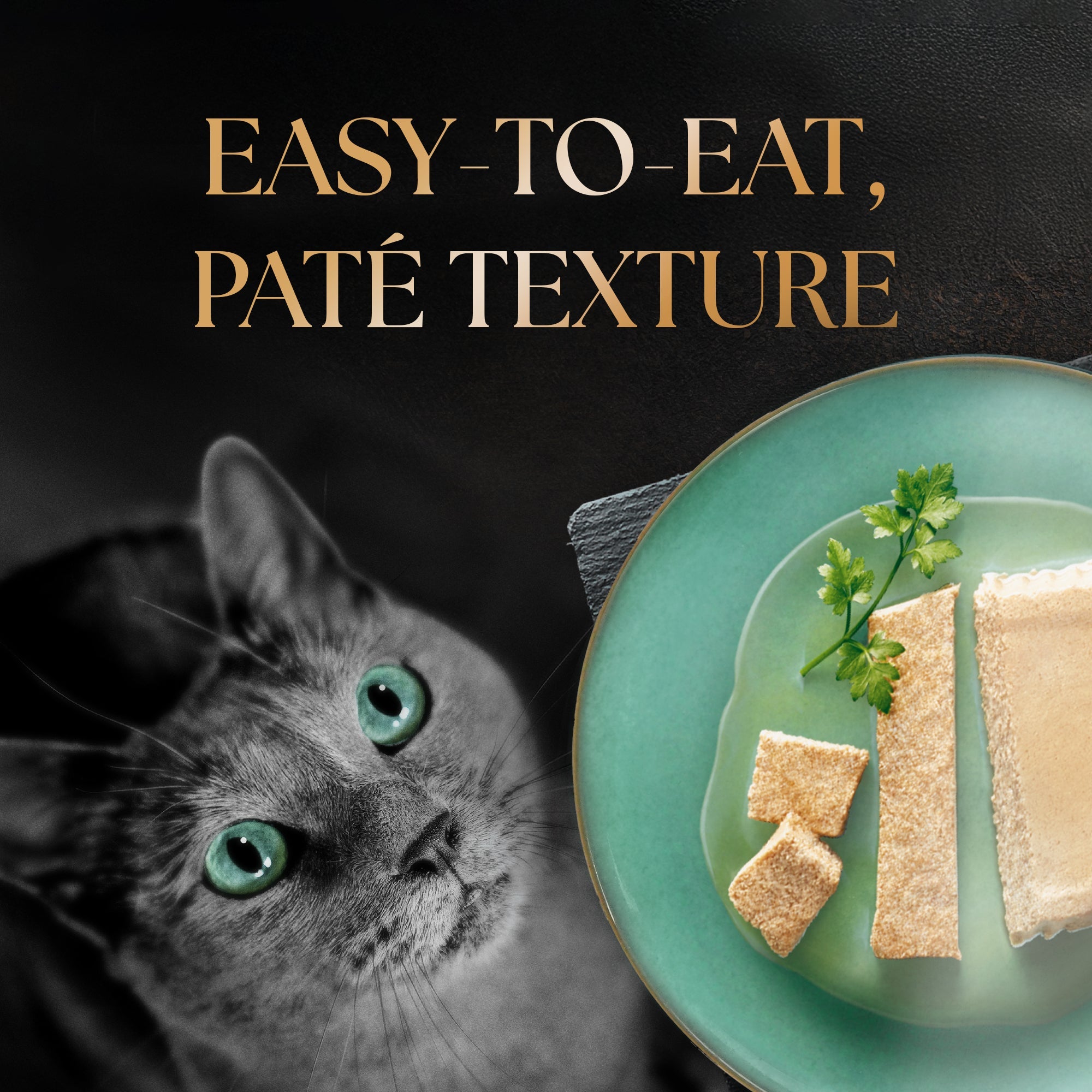 Sheba Katsuo Pate Adult Cat Wet Food