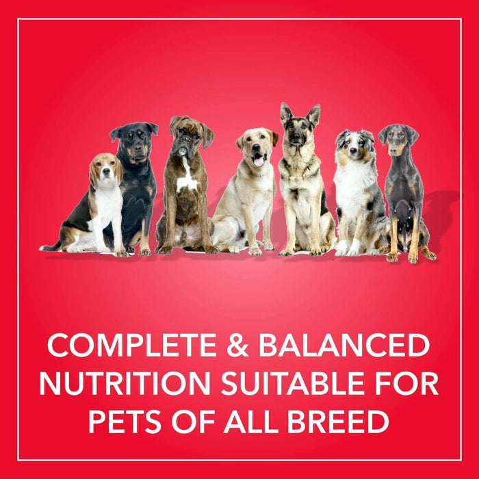 Purepet- Adult Dry Dog Food With Chicken & Vegetable Flavour