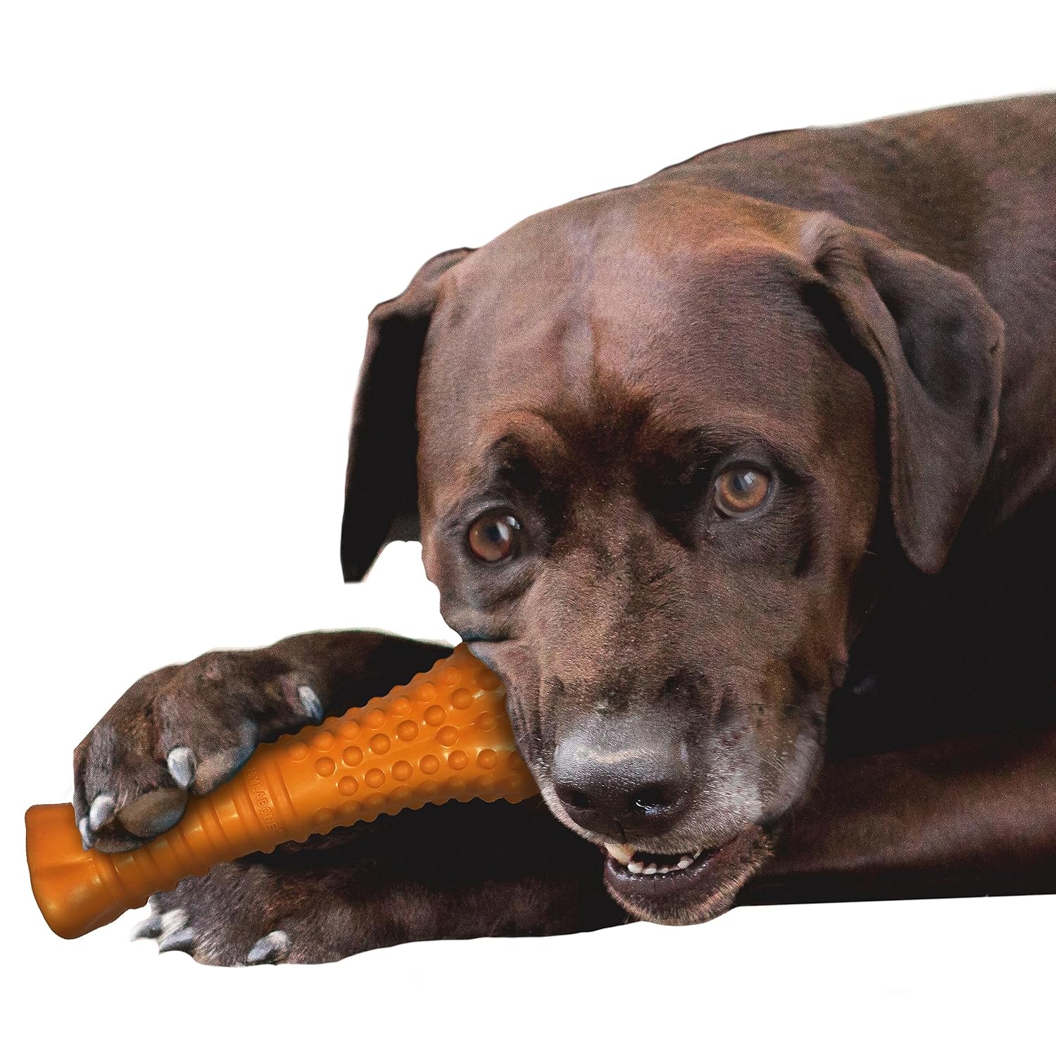 Nylabone Silver Collection Strong Chew Bone