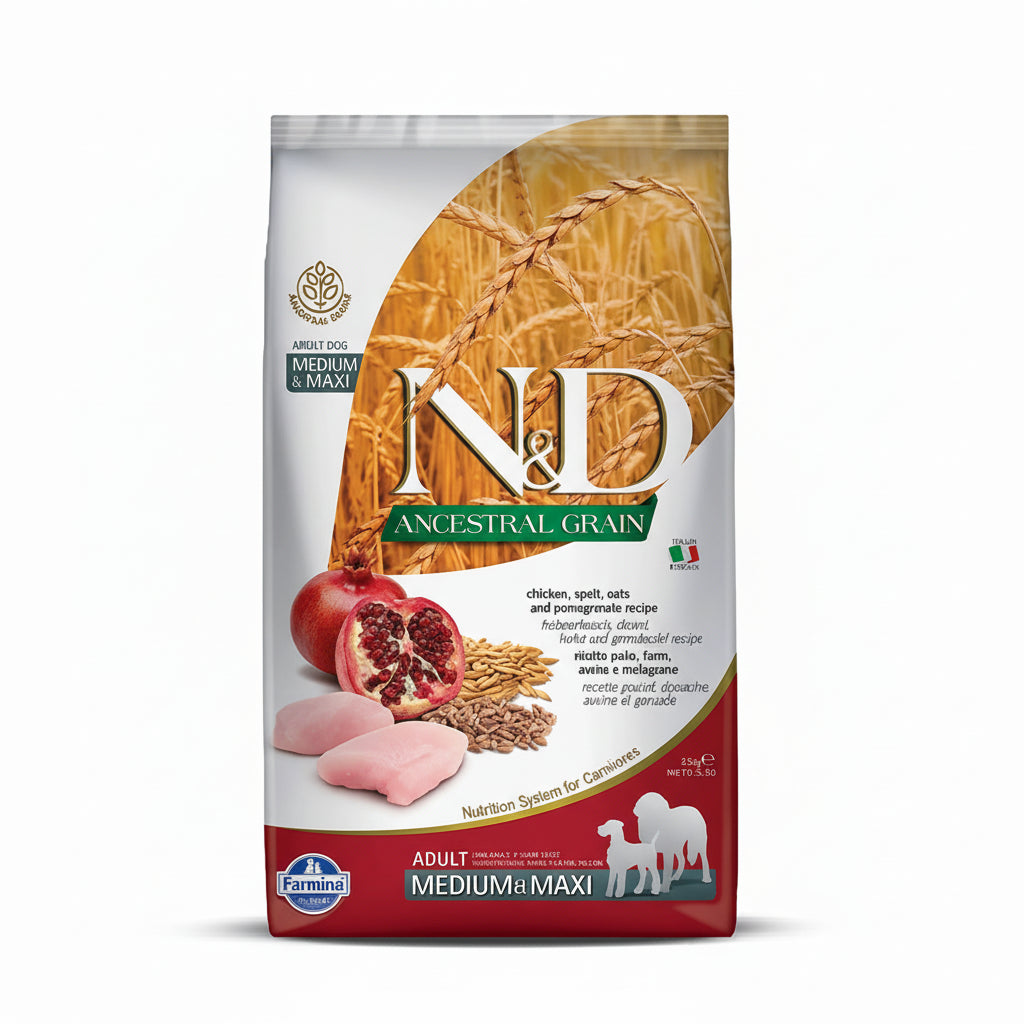 N&D Ancestral Grain Chicken Medium & Maxi Adult Dog Dry Food