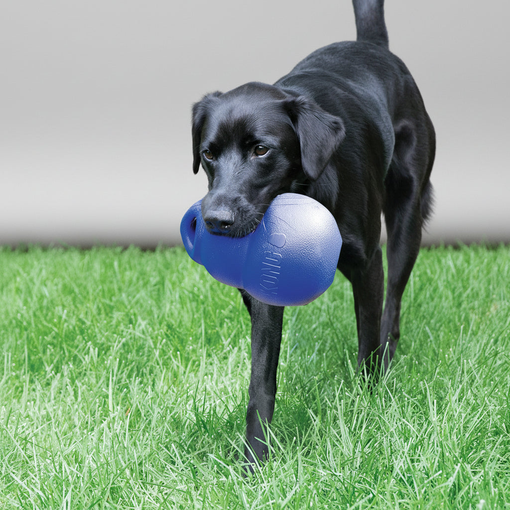 Kong Bounzer Dog Ball Toy