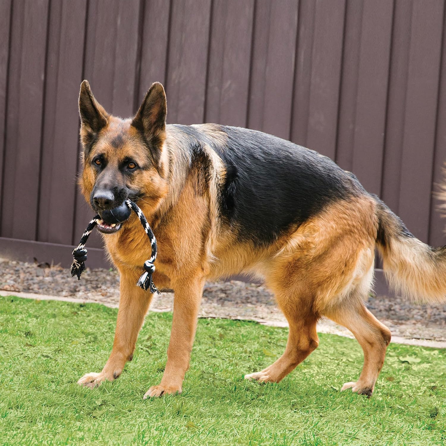 Kong Extreme Ball With Rope for Dogs