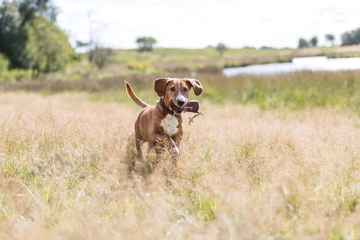 Trixie Prey Dummy for Dogs