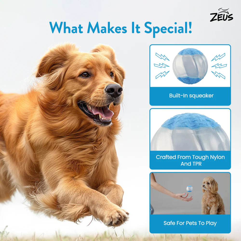 Zeus - Duo Ball 5Cm With Squeaker & Glow 2PK