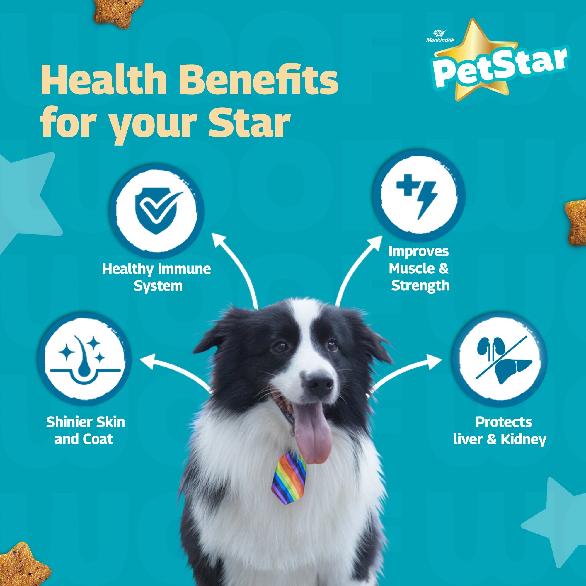 PetStar- Chicken And Wheat Adult Dog Food