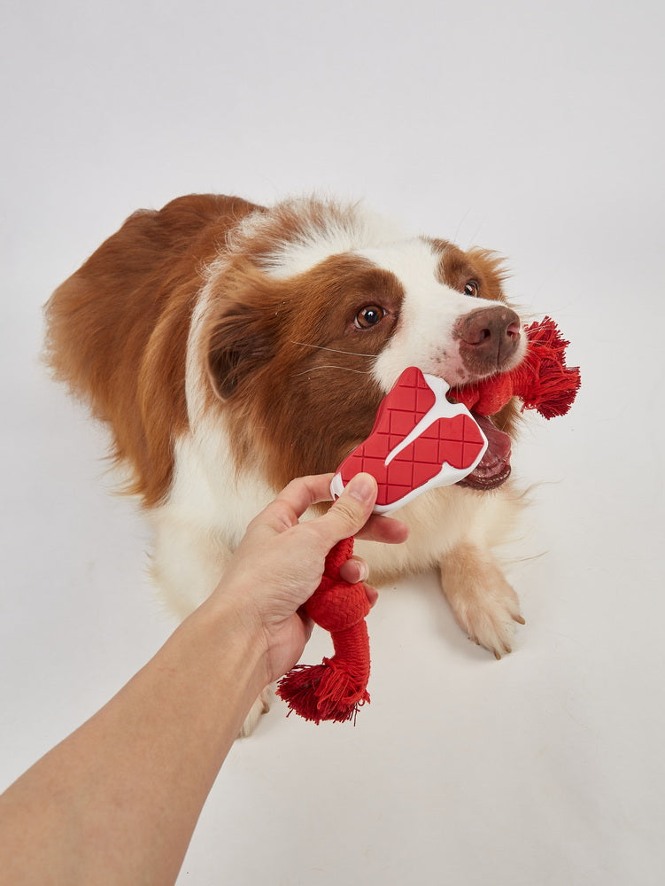 Fofos Chew Rope Steak Toy for Dogs