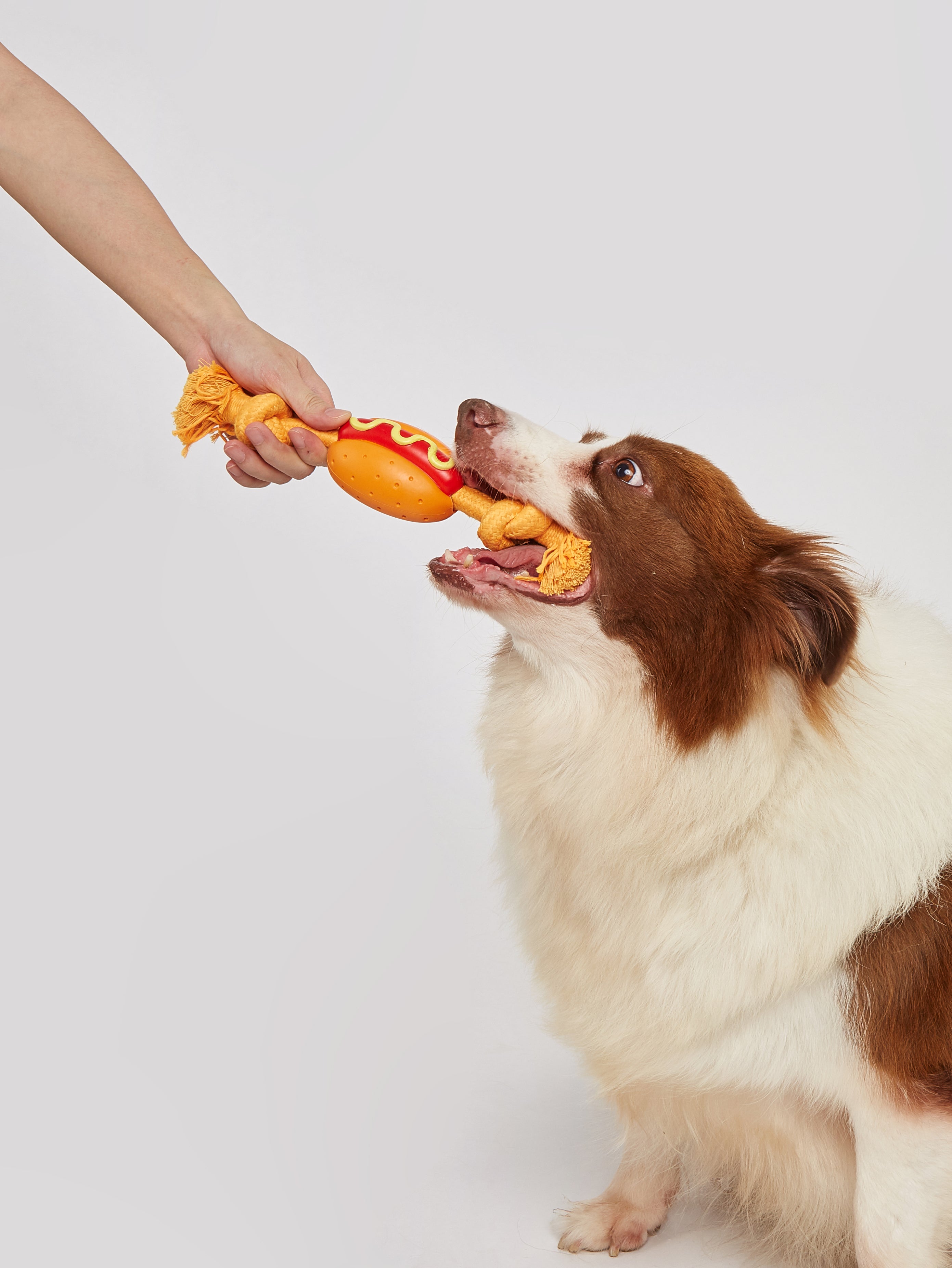 Fofos Chew Rope Dog Toy