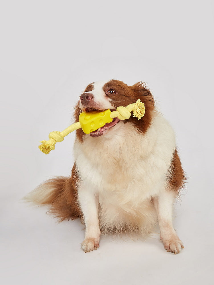 Fofos Chew Rope Dog Toy