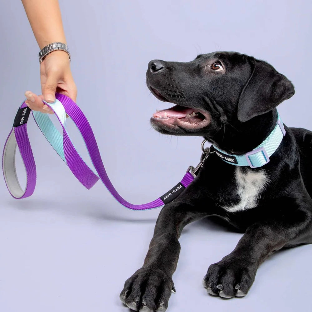 Pets Way Dual Color Leash For Dogs