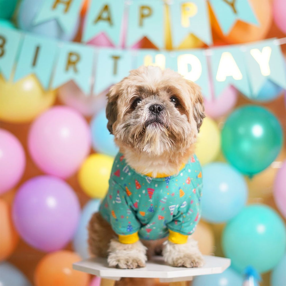 Pets Way Teal Birthday T-Shirt for Dogs