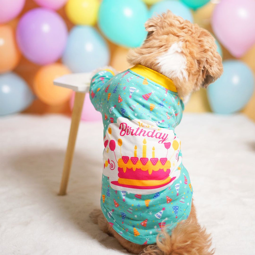 Pets Way Teal Birthday T-Shirt for Dogs