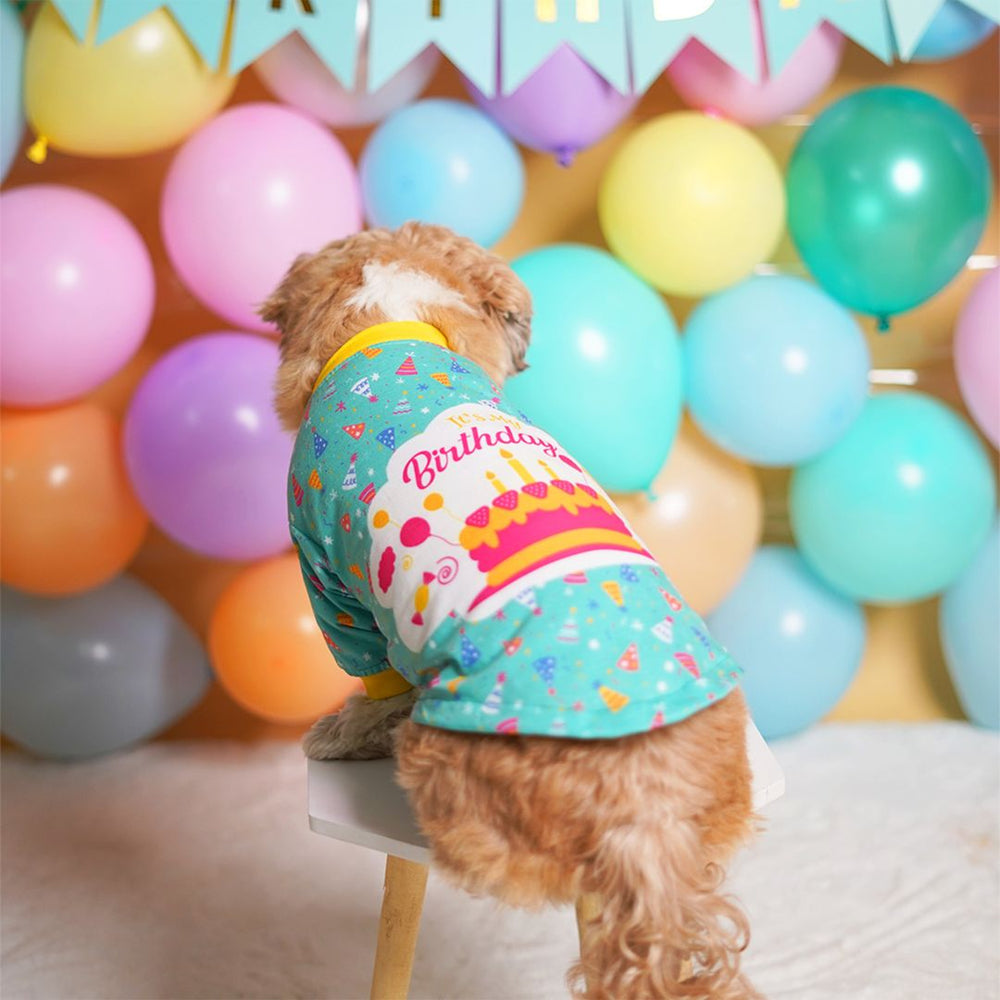 Pets Way Teal Birthday T-Shirt for Dogs