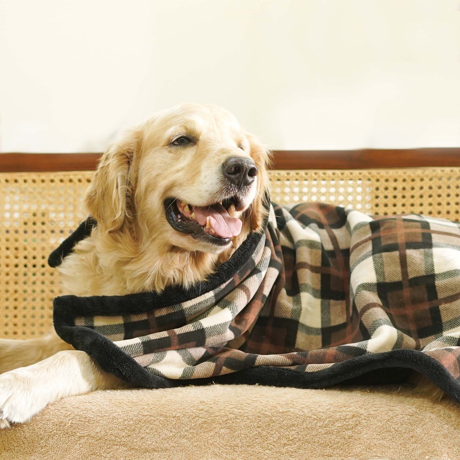Pets Way Checks Brownie Soft Stylish & Durable Pet Blanket for Dogs