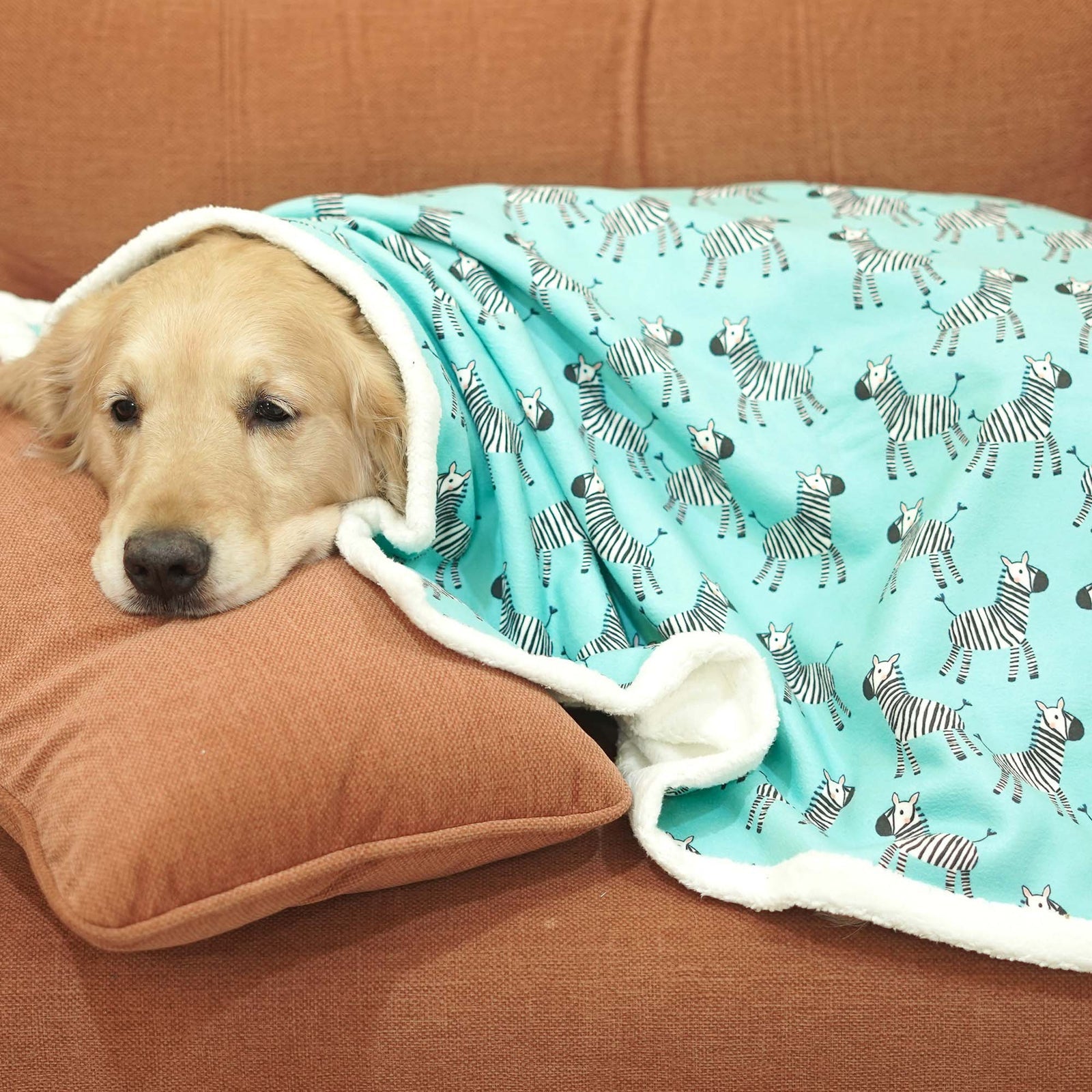 Pets Way Zebra Pet Blanket for Dogs