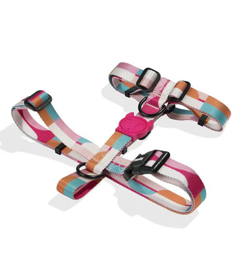 Zee Dog - Bloom H-Harness