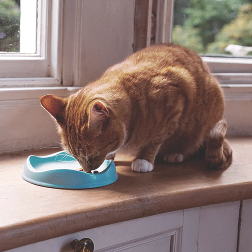 Beco - Bamboo Cat Bowl-Blue Standard