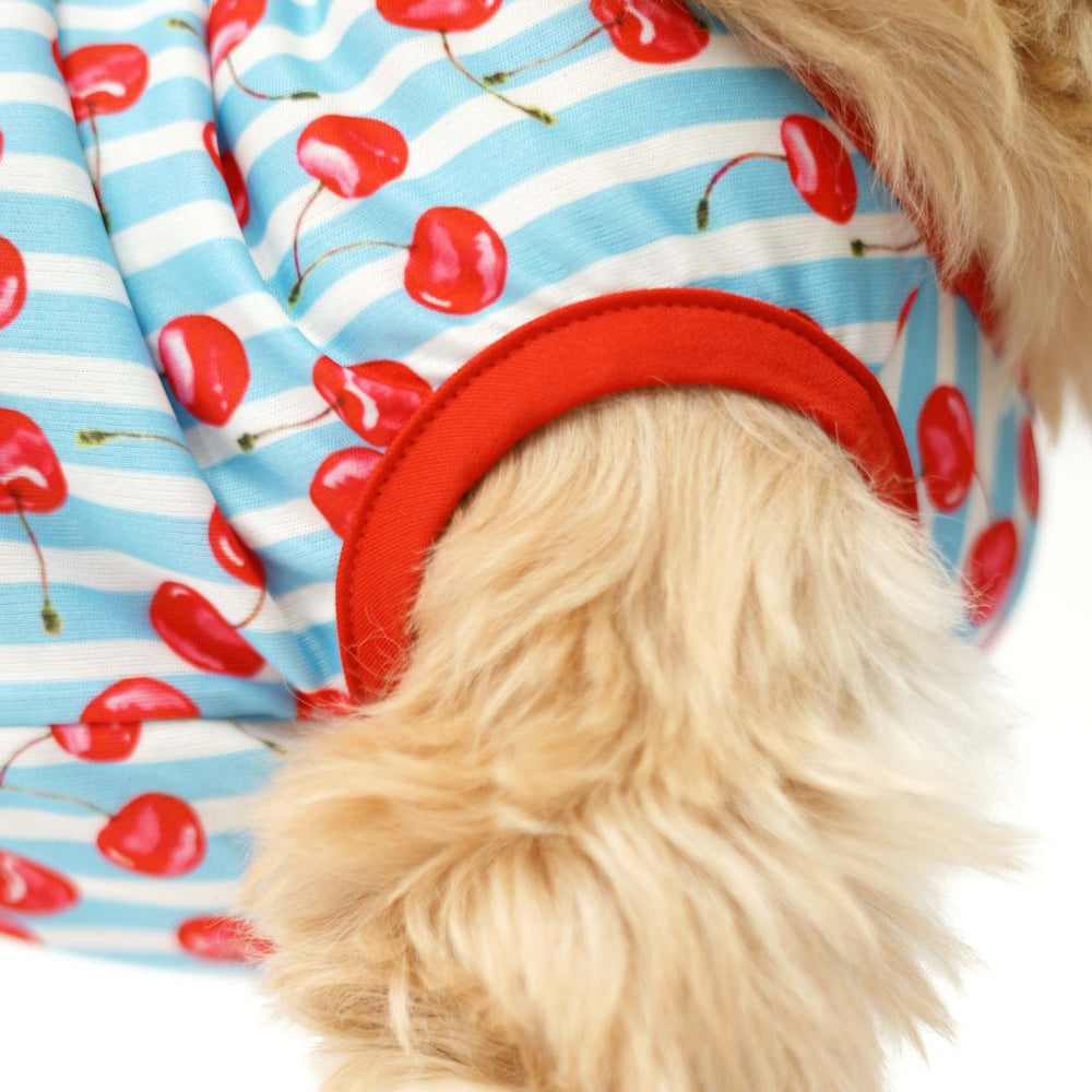 Pets Way Cherry Land Printed Vest for Dogs