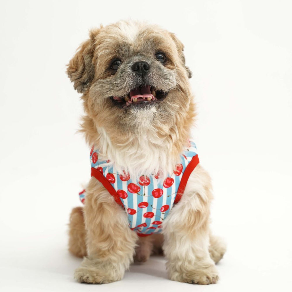 Pets Way Cherry Land Printed Vest for Dogs