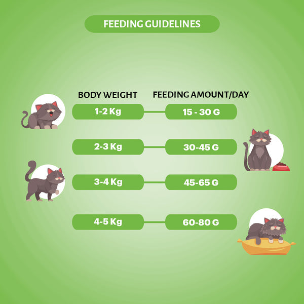 Grain Zero Chicken and Vegetable Adult Cat Dry Food