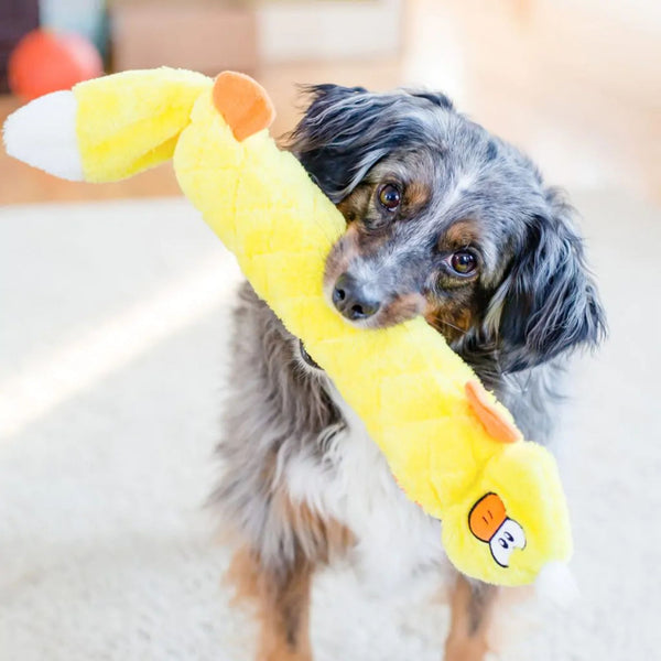 Zippy Paws Duck Jigglerz Plush Toy for Dogs