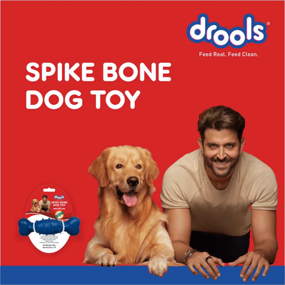 Drools - Dog Spike Bone Toy