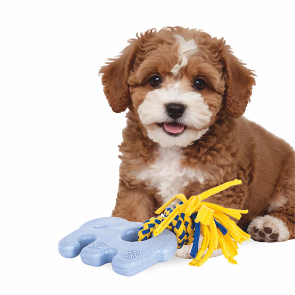 Zippy Paws ZippyTuff Teether Elliot the Elephant Plush Toy for Dogs