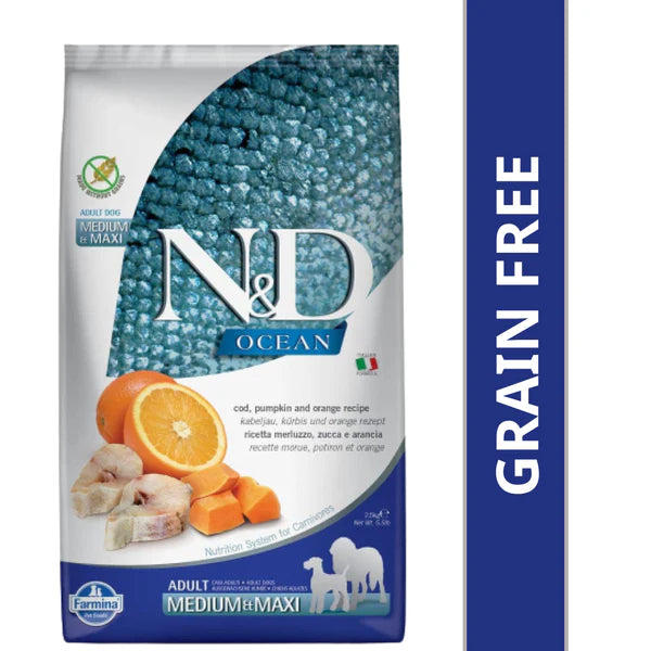 N&D Ocean Pumpkin Codfish and Orange Medium & Maxi Adult Dog Dry Food