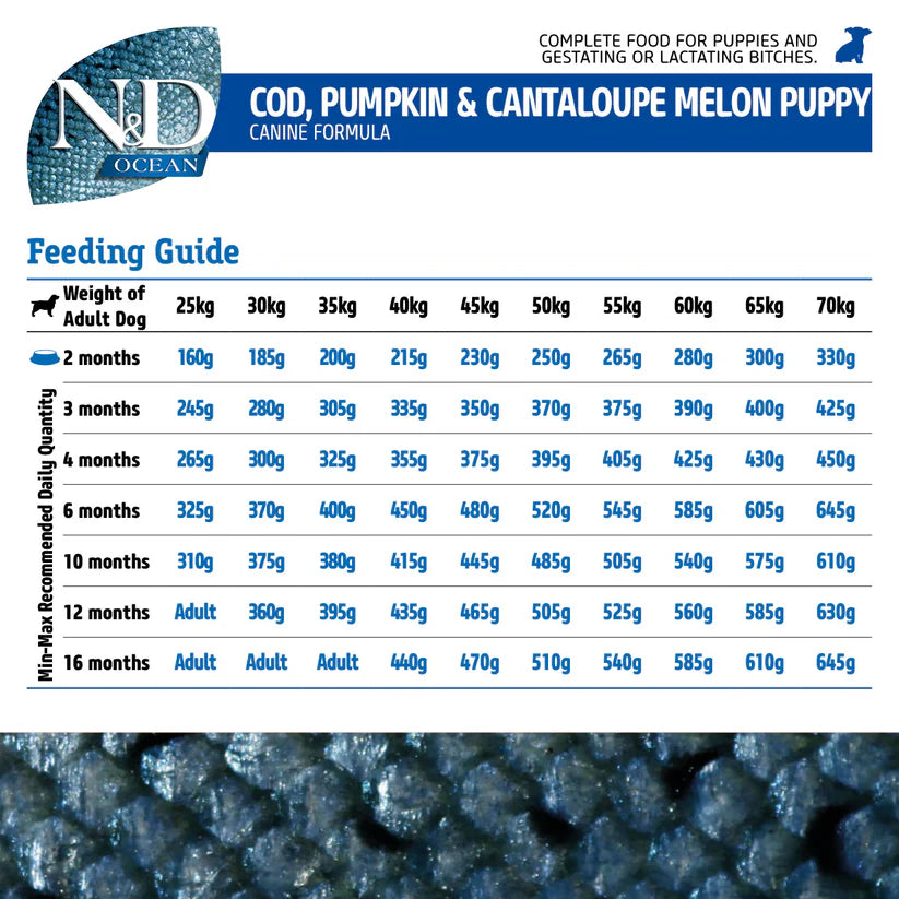 N&D- Ocean COD Pumpkin & Cantaloupe Melon Puppy Medium & Maxi