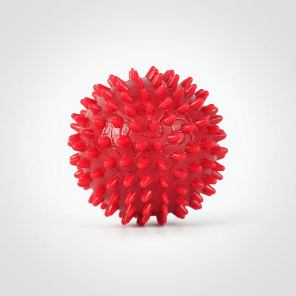 Drools Dog and Puppy Spike Hard Ball Toy