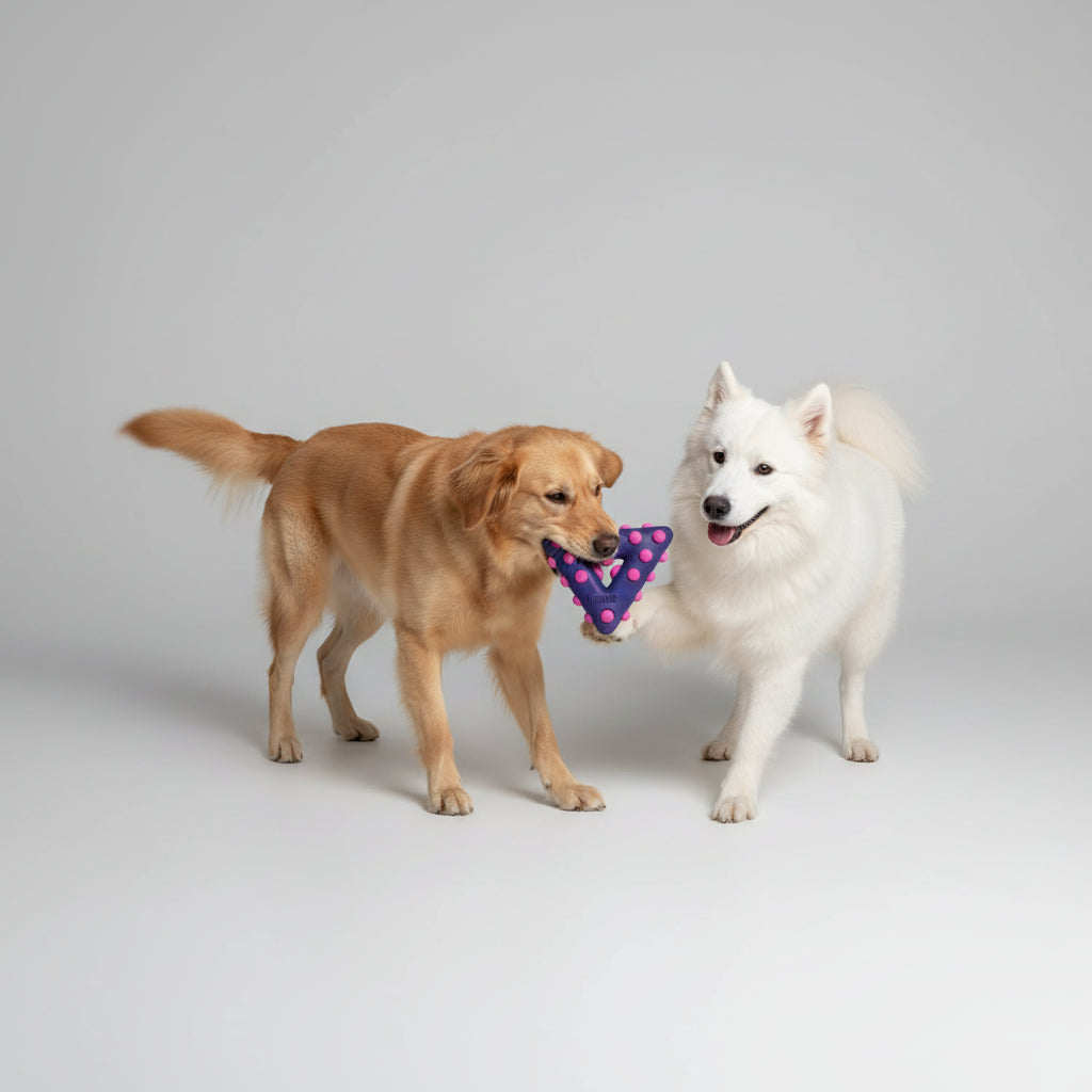 Kong Dotz Triangle Hard Dog Toy