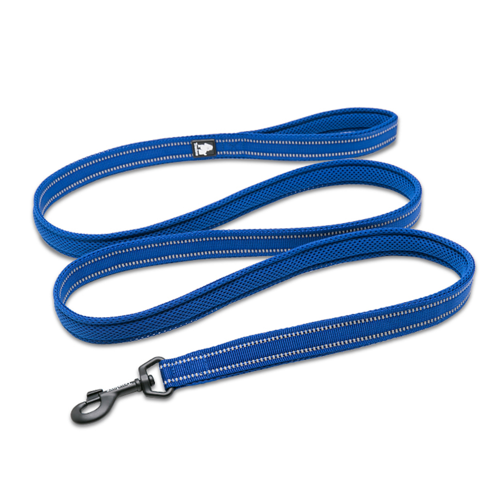 True Love - Classic Leashes for Dogs